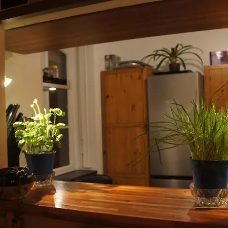 Beau Duplex En Centre Ville Apartment